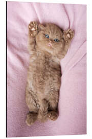 Aluminiumtavla Relax - Janina Bürger