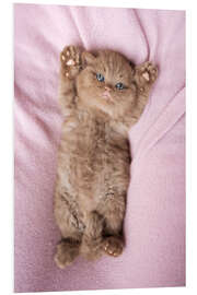 Hartschaumbild Relax - Janina Bürger