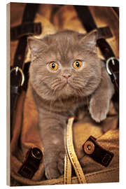 Wood print Kitten on the move - Janina Bürger