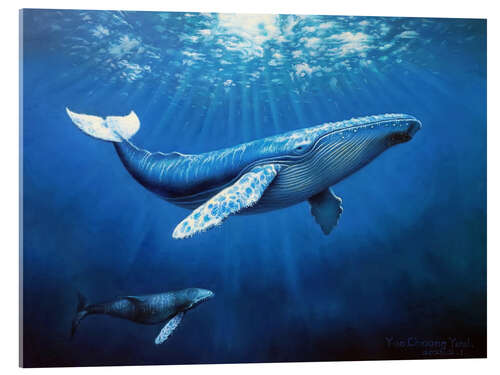 Akrylglastavla Whale family