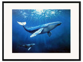 Framed art print Whale family