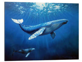 Cuadro de plexi-alu Whale family - Yoo Choong Yeul