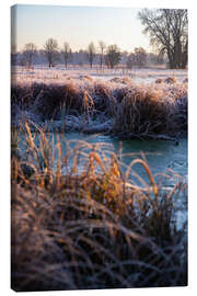 Canvastavla Large wild meadow in winter with ice and frost II - Jan Wehnert