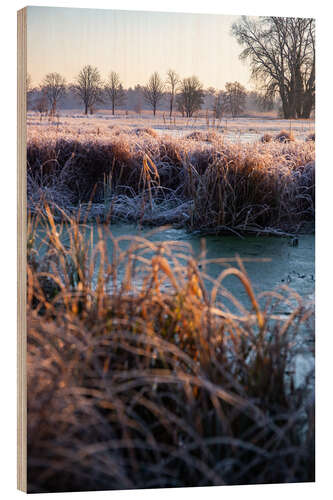 Obraz na drewnie Large wild meadow in winter with ice and frost II