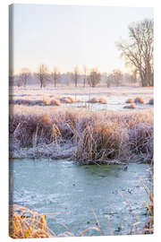Canvas print Large wild meadow in winter with ice and frost I - Jan Wehnert