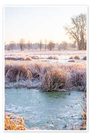 Wandbild Große wilde Wiese im Winter mit Eis und Frost I - Jan Wehnert