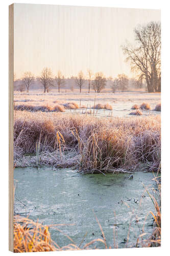 Wood print Large wild meadow in winter with ice and frost I