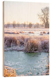 Wood print Large wild meadow in winter with ice and frost I - Jan Wehnert