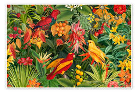 Plakat Tropical Summer Night - Andrea Haase