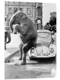 Hartschaumbild Elefant auf Oldtimer, Kuba, 1950er