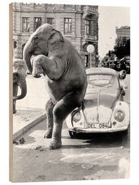 Puutaulu Elephant on vintage car, Cuba, 1950s