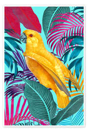 Plakat In the Jungle Garden II - Andrea Haase