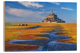 Trebilde Mont Saint Michel, France