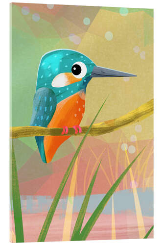 Acrylglasbild Süßer Eisvogel