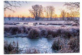 Quadro em acrílico Meadow and trees in winter, landscape photo in the morning - Jan Wehnert