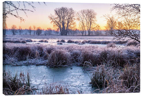 Stampa su tela Meadow and trees in winter, landscape photo in the morning