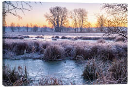 Stampa su tela Meadow and trees in winter, landscape photo in the morning - Jan Wehnert