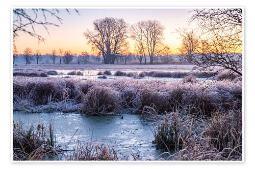 Plakat Meadow and trees in winter, landscape photo in the morning