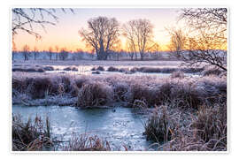 Veggbilde Meadow and trees in winter, landscape photo in the morning - Jan Wehnert