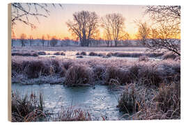 Wood print Meadow and trees in winter, landscape photo in the morning - Jan Wehnert