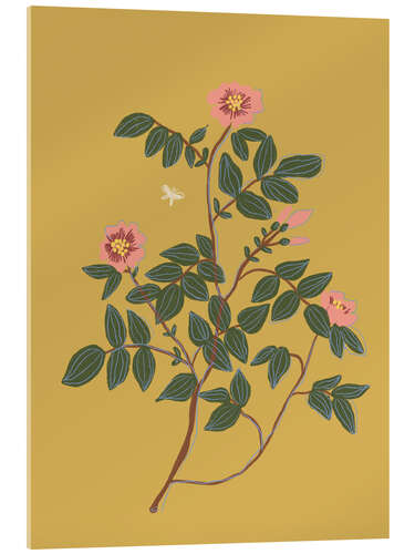 Acrylglasbild Wildrose