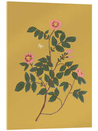 Acrylglasbild Wildrose - Gigi Rosado