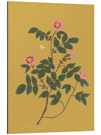 Aluminium print Wild rose - Gigi Rosado