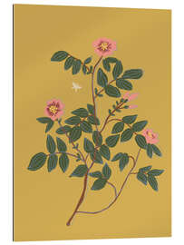 Gallery Print Wildrose