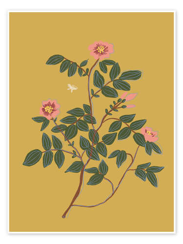 Poster Wild rose