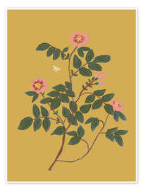 Wall print Wild rose - Gigi Rosado