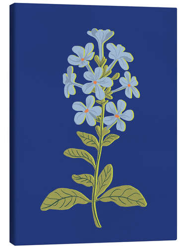 Canvas print Blue flower