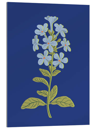 Stampa su plexi-alluminio Blue flower