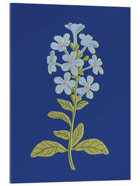 Stampa su plexi-alluminio Blue flower