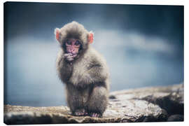 Lienzo Puppy Japanese Macaque - Chiara Salvadori