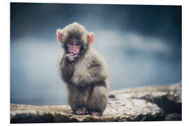 Hartschaumbild Japanischer Makaken-Welpe - Chiara Salvadori
