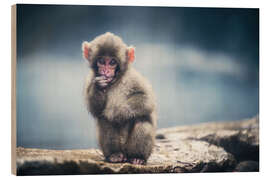 Wood print Puppy Japanese Macaque - Chiara Salvadori
