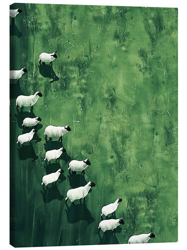 Canvas print Wandering Sheep