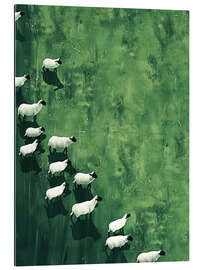 Galleriataulu Wandering Sheep