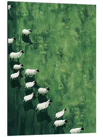 Magnettafel Wandernde Schafe