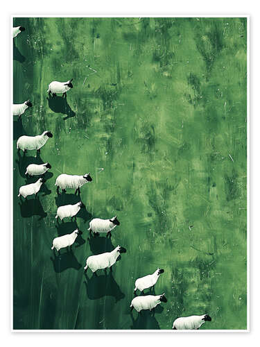 Poster Wandering Sheep