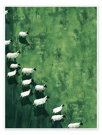 Wall print Wandering Sheep - Arlington Prints