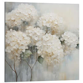 Aluminium print White Hydrangeas Floral - Arlington Prints