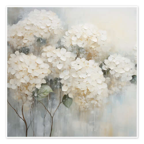 Poster White Hydrangeas Floral