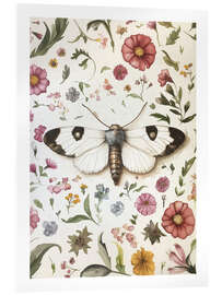 Akryylilasitaulu Botanical Butterfly VI - Dutch Lady