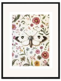 Gerahmter Kunstdruck Botanischer Schmetterling VI