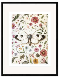Framed art print Botanical Butterfly VI