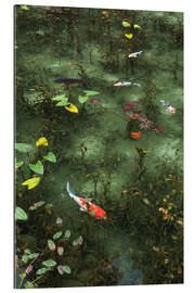 Gallery print Pond with koi