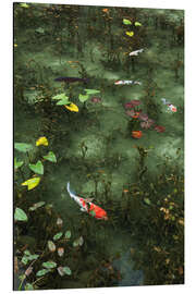 Magnettafel Teich mit Koi