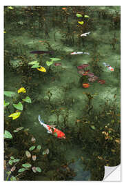 Sticker mural Pond with koi
