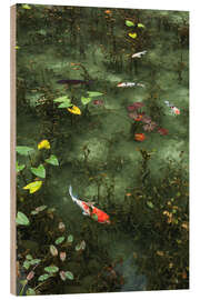 Wood print Pond with koi - Jan Christopher Becke